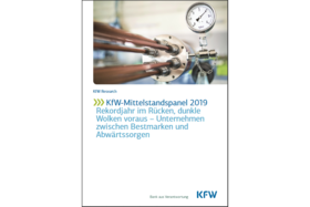 KfW-Mittelstandspanel 2019